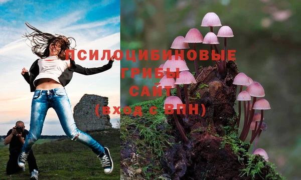 трава Михайлов