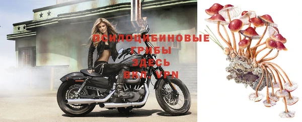 мдма Михайловск