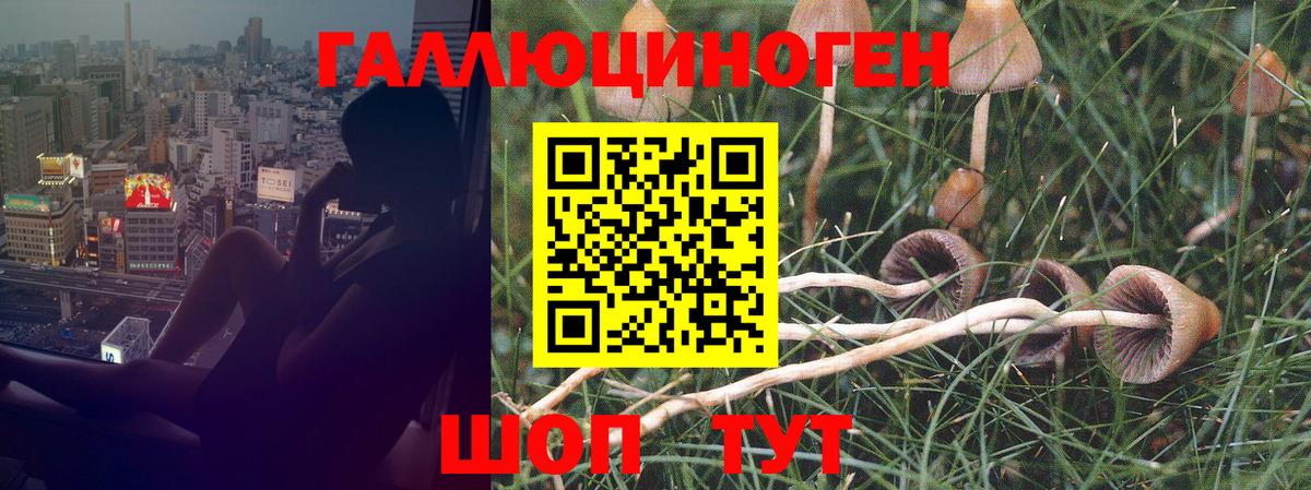 Оренбург  Псилоцибиновые грибы Magic Shrooms  Галлюциногенные грибы Magic Shrooms  Вход с VPN 